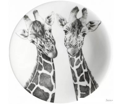   Taitu Wild Spirit Giraffe 12-1-1-B