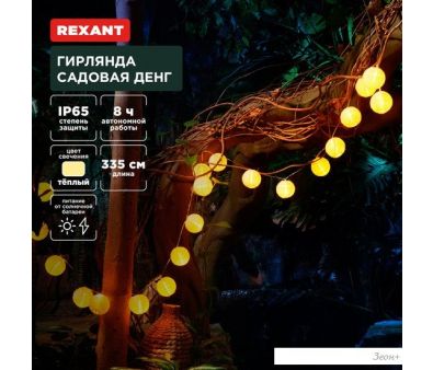   Rexant  602-2427