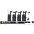 Радиосистема DSPPA D5842