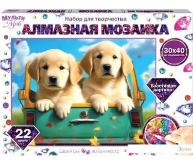   MultiArt   AM30X40-115325