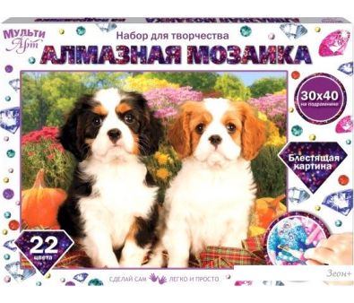   MultiArt   AM30X40-DVES