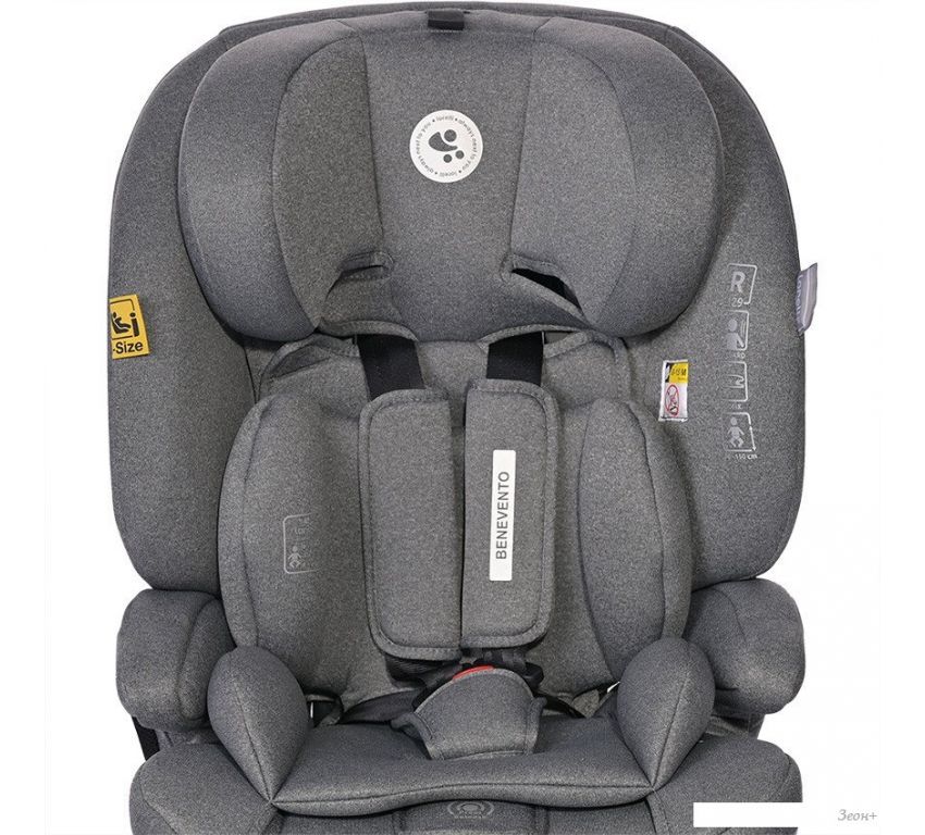 Детское автокресло Lorelli Benevento Isofix (Grey)