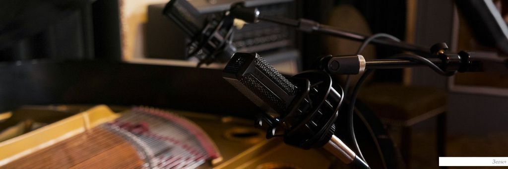 Проводной микрофон Lewitt LCT 441 Flex