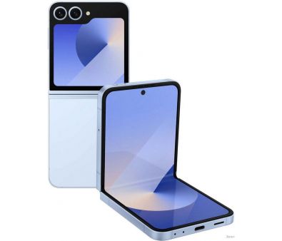  Samsung Galaxy Z Flip6 SM-F741B 12GB/512GB ()