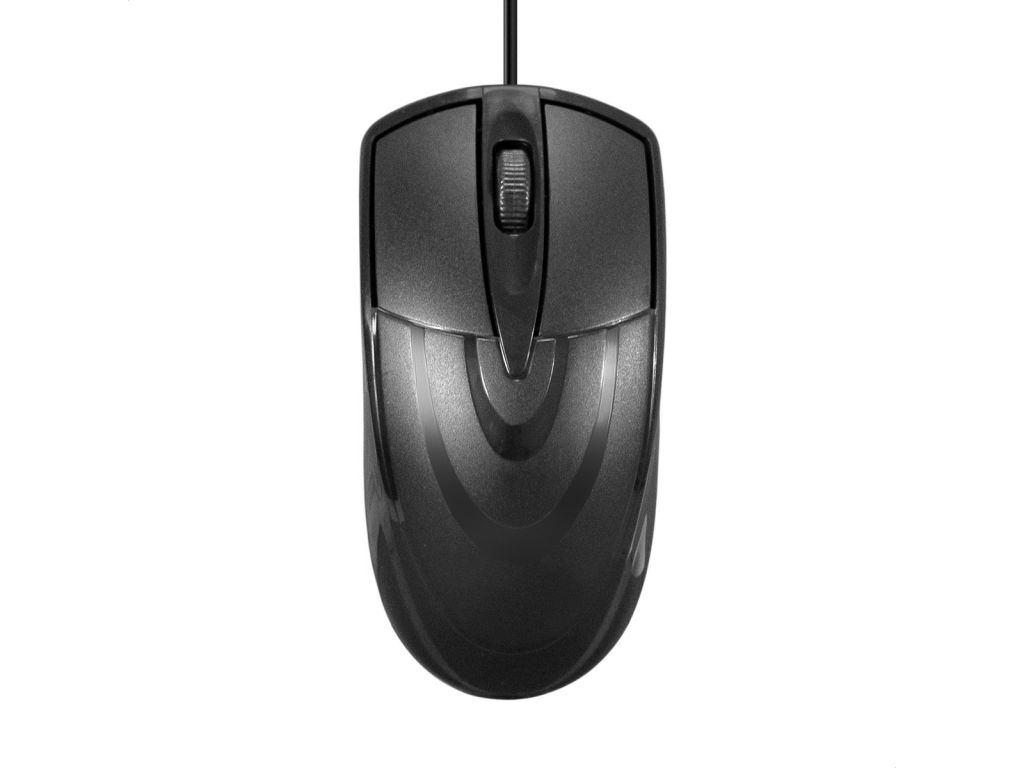 Офисный набор ExeGate Professional Standard Combo MK110-OEM EX295303RUS