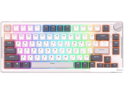  Royal Kludge RK-H81 RGB (, RK Brown)