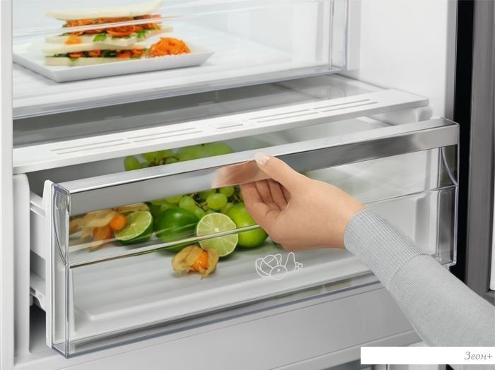 Холодильник Electrolux LNT7ME36X3