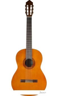   Yamaha C40 ( )
