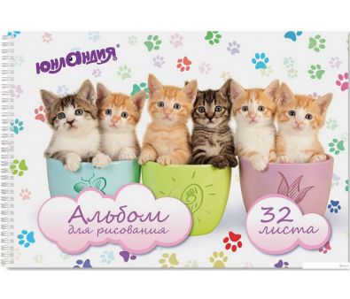 Альбом для рисования Юнландия Футбол 105077 (32 л)