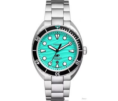 Наручные часы Fossil FS6066