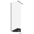 Душевая стенка Allen Brau Infinity 1 3.21015.BBA 100x200 323807 (черный браш)