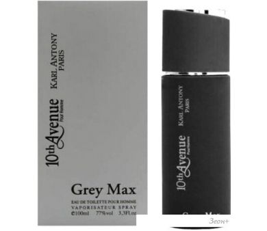   Jean Jacques Vivier 10th Avenue Grey Max EdT (100 )