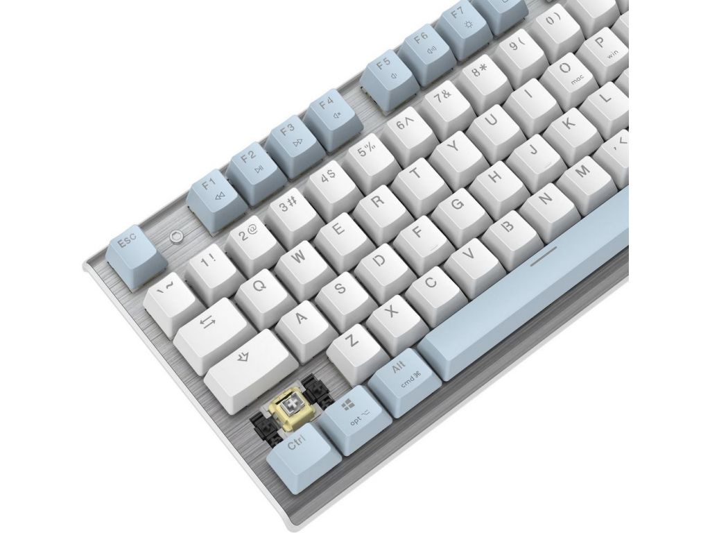 Клавиатура A4Tech Fstyler FS100 Neon (серебристый/голубой)