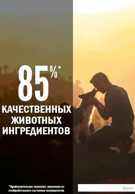 Сухой корм для собак Orijen Dog Tundra 11.4 кг