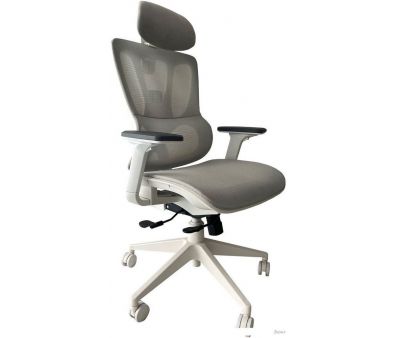   CACTUS CS-CHR-MC02GY ()