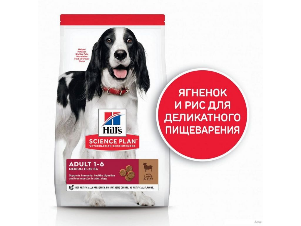 Сухой корм для собак Hill's SP для взрослых собак средних пород, с ягненком и рисом 604357 14 кг