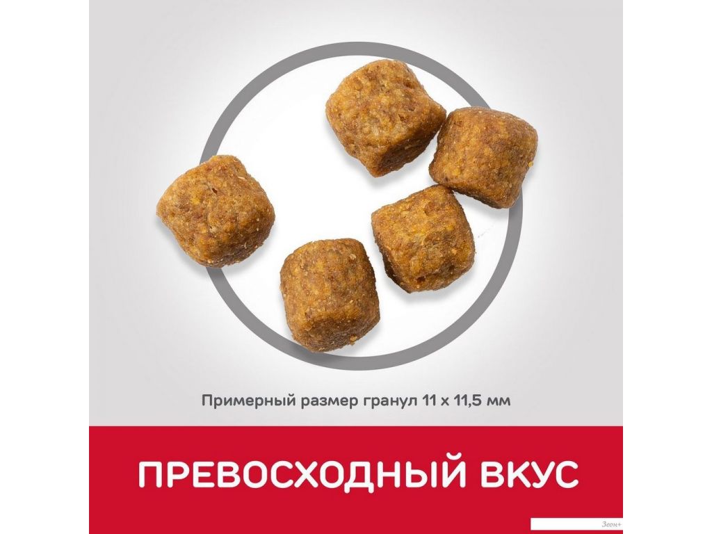 Сухой корм для собак Hill's SP для взрослых собак средних пород, с ягненком и рисом 604357 14 кг