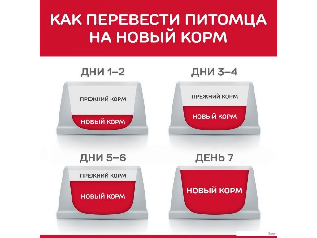 Сухой корм для собак Hill's SP для взрослых собак средних пород, с ягненком и рисом 604357 14 кг