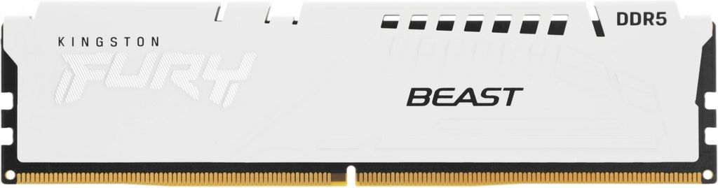 Оперативная память Kingston FURY Beast 16ГБ DDR5 6800 МГц KF568C34BWE-16
