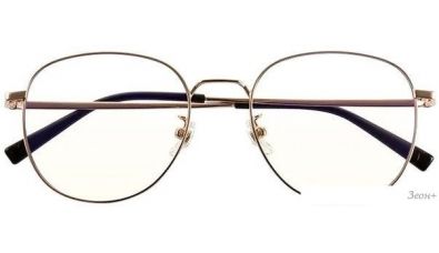   Xiaomi Mijia Anti-Blue Light Glasses HMJ06LM ()