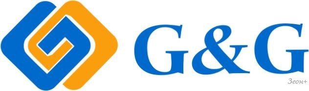 Чернила G&G GG-C13T03V14A