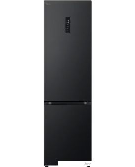  LG DoorCooling+ GC-B509FTZW