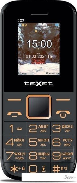 Кнопочный телефон TeXet TM-202 (черный)