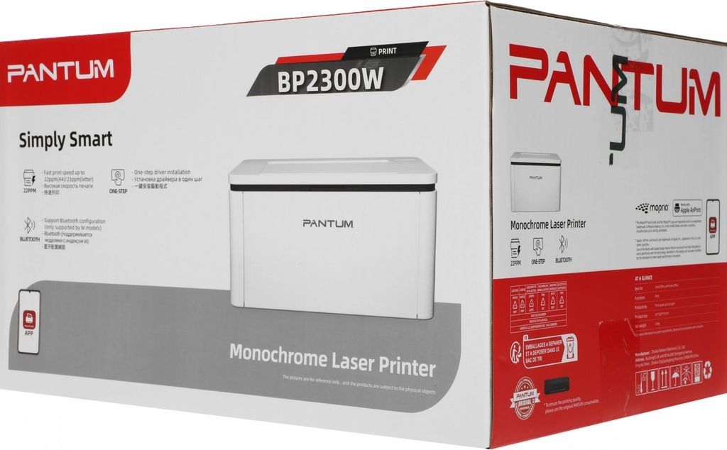 Принтер Pantum BP2300W