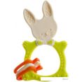 Сортер Roxy Kids Bunny Teether RBT-001GN (зеленый)
