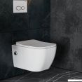   Roxen Cube Bidet 530135-01X Rimless Soft Close   