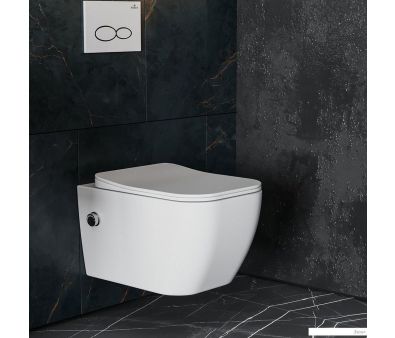   Roxen Cube Bidet 530135-01X Rimless Soft Close   