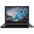 Игровой ноутбук Colorful Evol X16 Pro 23 A10205400060