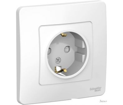 Schneider Electric BLNRS001111