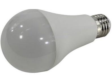   SmartBuy A65 E27 25  3000  SBL-A65-25-30K-E27