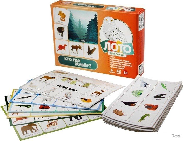 Развивающая игра Десятое королевство Кто где живет? 00078