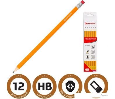    BRAUBERG 180635 (12 .)