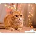 Коврик для мыши VS Cat VS_B4652