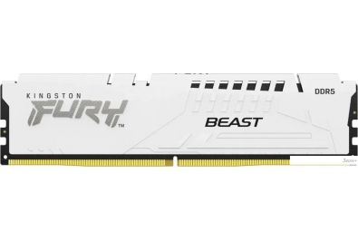   Kingston FURY Beast 16 DDR5 6000  KF560C36BWE2-16