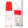   Brocard    EdP (50 )