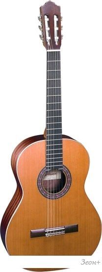 Акустическая гитара Almansa Student 401