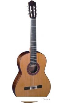   Almansa Student 403
