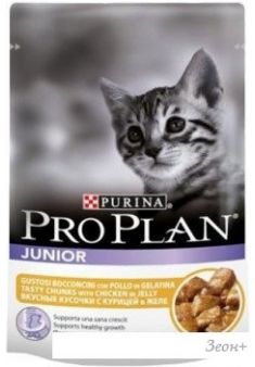    Pro Plan Junior   0.085 