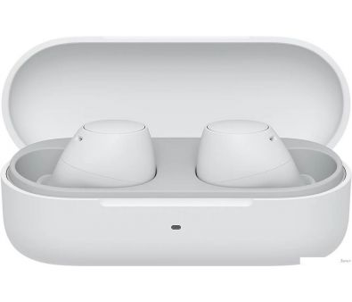  Sony WF-C510 ()