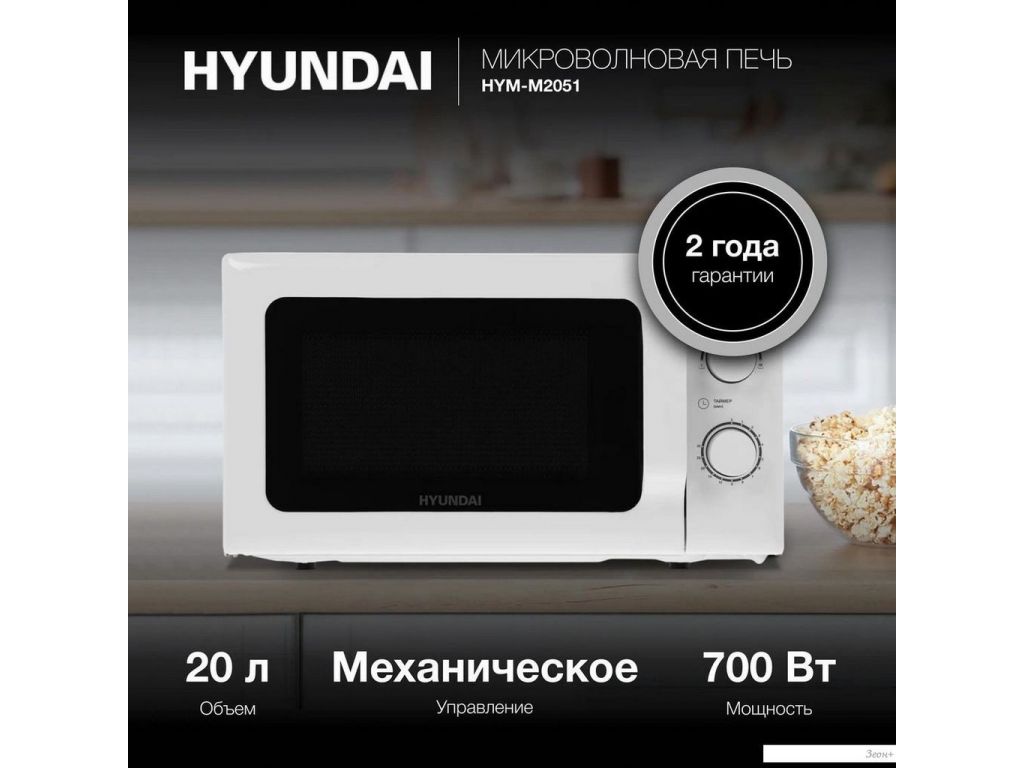 Hyundai HYM-M2051