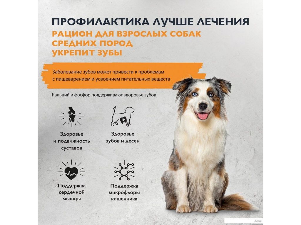 Brit Care Dog Adult M Monoprotein Dental Health 12 кг