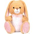 Классическая игрушка Maxitoys Зайка Пинки MT-HH052404-25