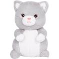  Maxitoys   MT-HH052407-17