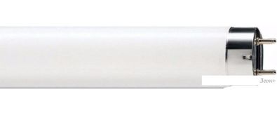   Osram L G13 58  4000 