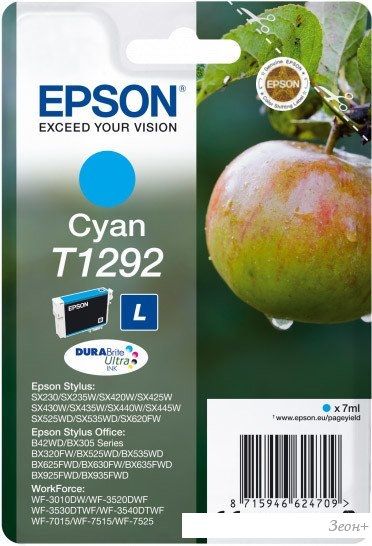 Картридж Epson C13T12924012