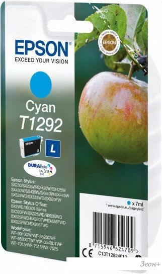 Картридж Epson C13T12924012